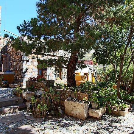 Casa Curtos Διαμέρισμα Catorce Δωμάτιο φωτογραφία