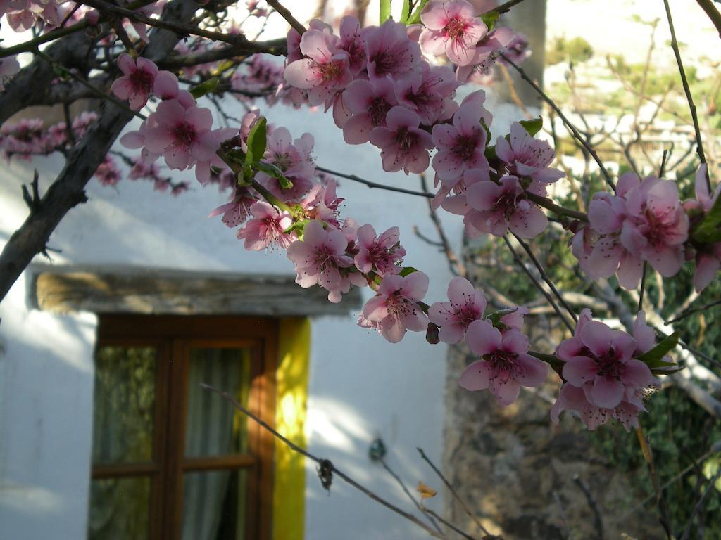 Casa Curtos Διαμέρισμα Catorce Δωμάτιο φωτογραφία
